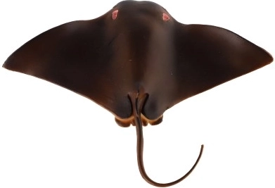 Edukacinis ir dekoratyvus