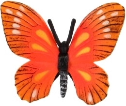 Realistiškos spalvos ir sparnų raštai