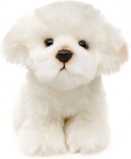 Ekologiškas ir saugus dizainas