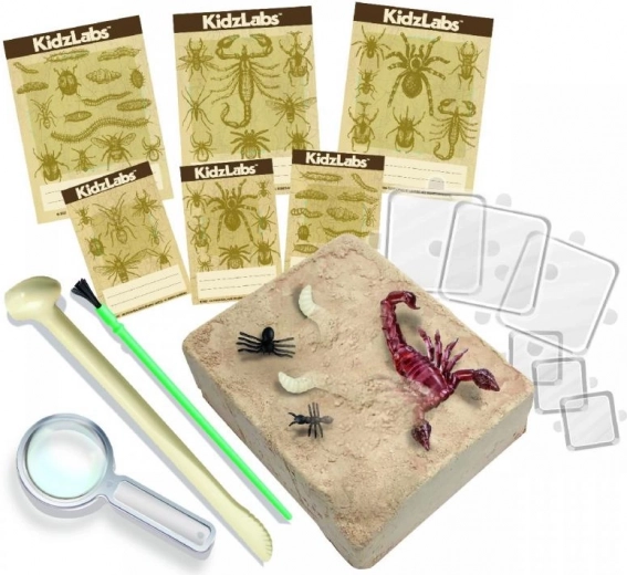 Pilna įranga ir mokomosios kortelės