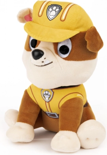 Ištikimai atkurta PAW Patrol herojaus išvaizda