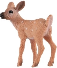 Dekoratyvinis panaudojimas