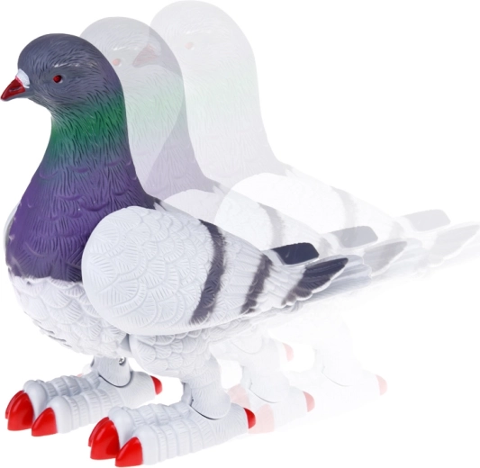 Juda ir interaktyvios funkcijos