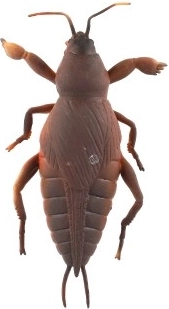 Itin elastinga ir tempiama medžiaga