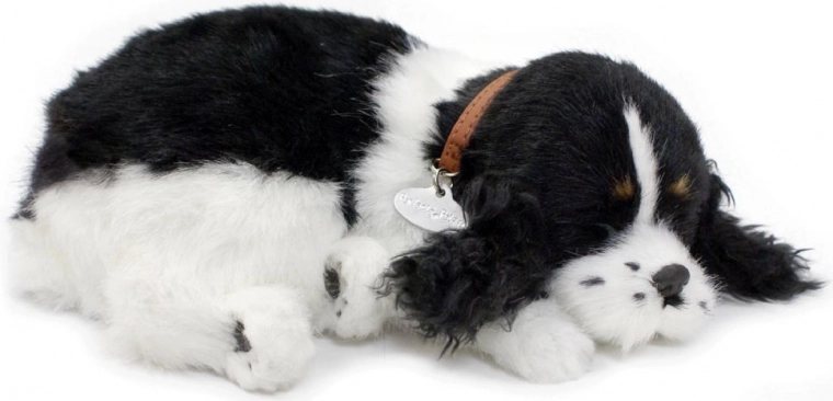 Kokybiškos medžiagos