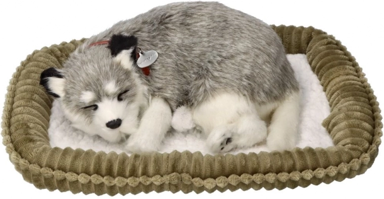 Minkštas guolis maksimaliai patogiai