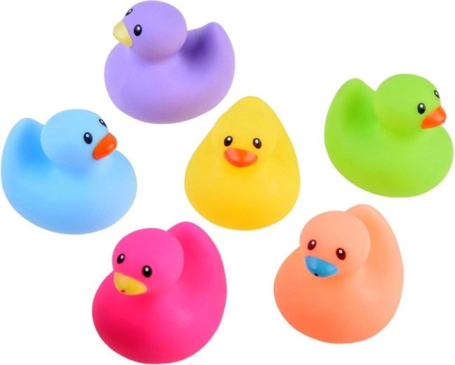 Šešios ryškios spalvos mokymuisi ir pramogai