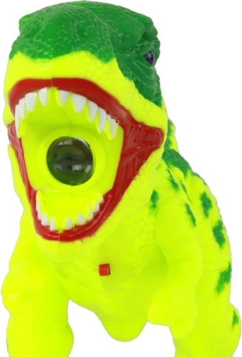 Dinosaur Projector