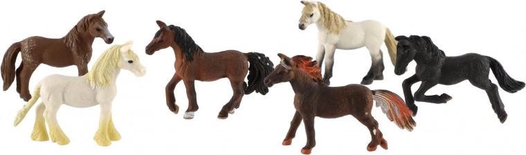 6 realistiški arkliukai vienoje pakuotėje