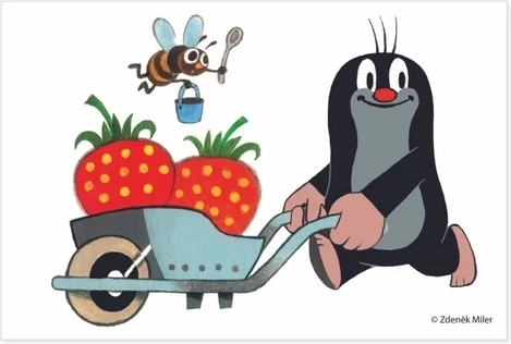 Tvirta mediena ir čekiška gamyba