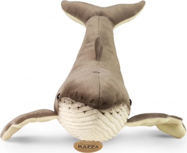 Realistiška išvaizda