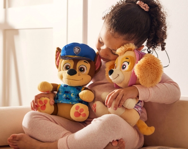Favorite PAW PATROL characters