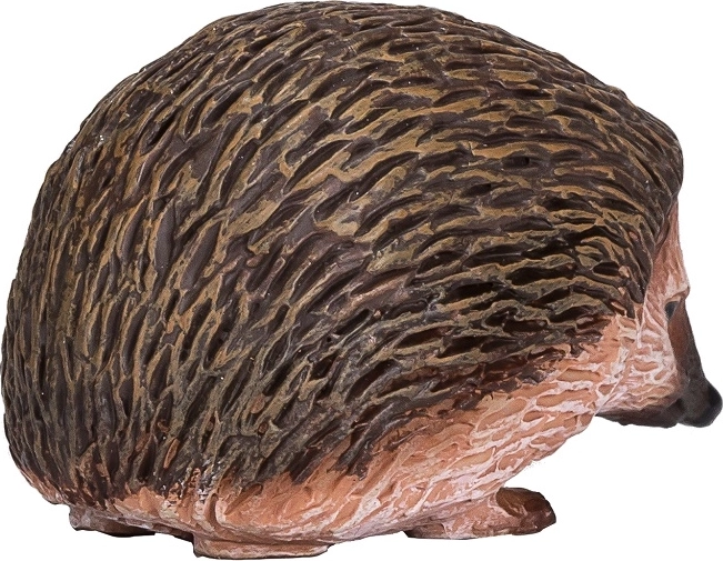 Edukacinė paskirtis