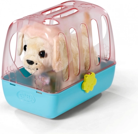 Kelioninė pernešimo dėžutė saugiam laikymui