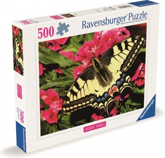 Cognitive and Relaxing Activity