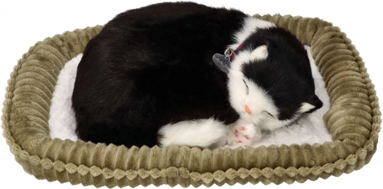 Patogi guoliavietė stilingam pastatymui