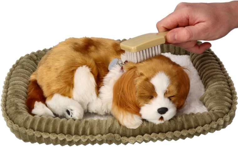 Raminantis „kvėpavimas“