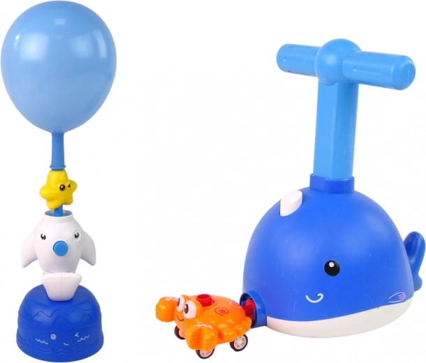 Fun education with dolphin