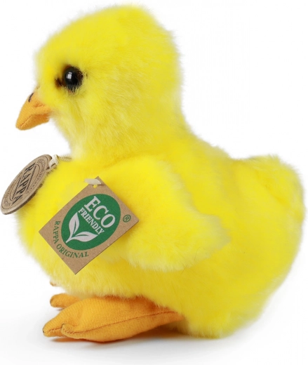 Švelnus ir kokybiškas pliušas kasdieniam glaustymuisi