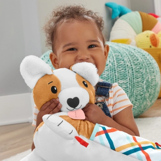 Interactive toys