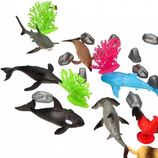 Learn about marine life