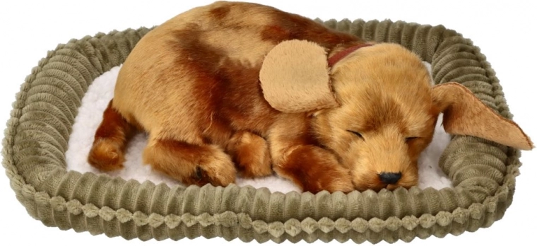 Realistiškas miegas ir švelnus kvėpavimas