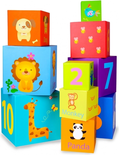 Edukacinės funkcijos