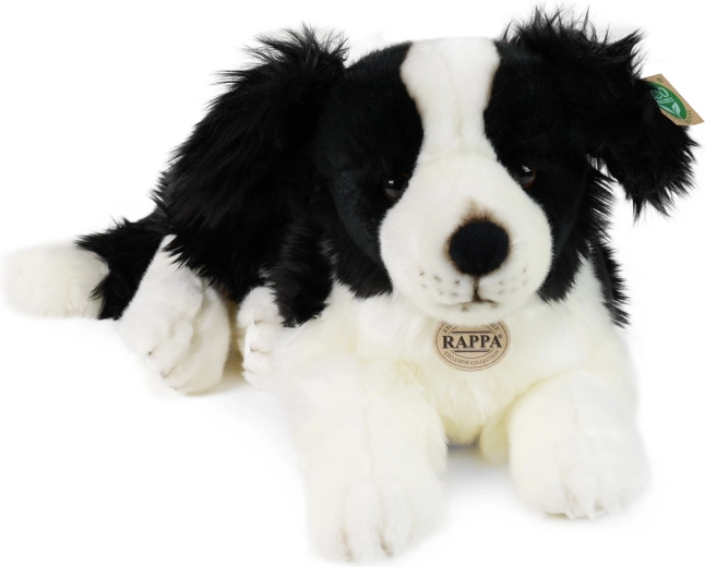 Ekologiškas užpildas