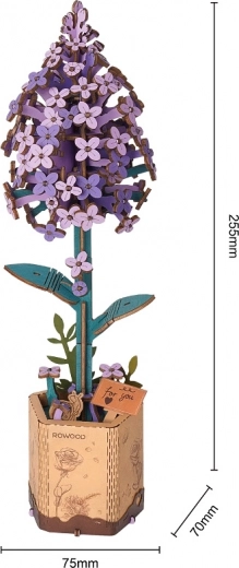 Kūrybinis projektas per kelias minutes