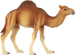 Stabilus ir patvarus atlikimas