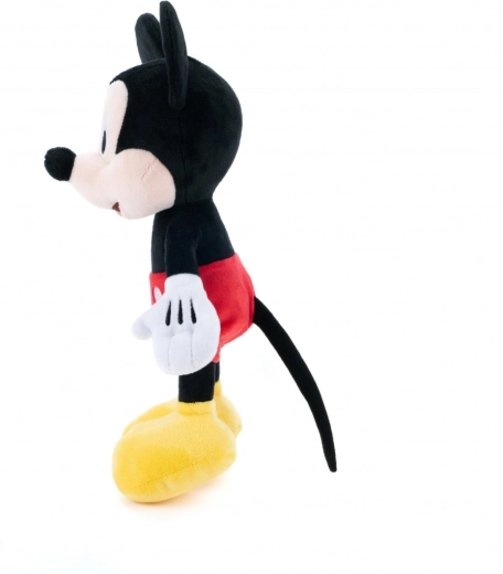 Lengva priežiūra ir universalus naudojimas