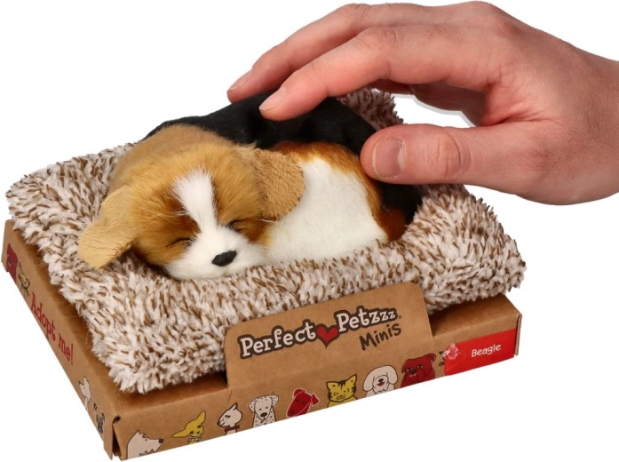 Minkštas guolis patogumui