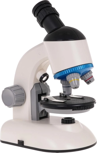 Padidinimas iki 1200x