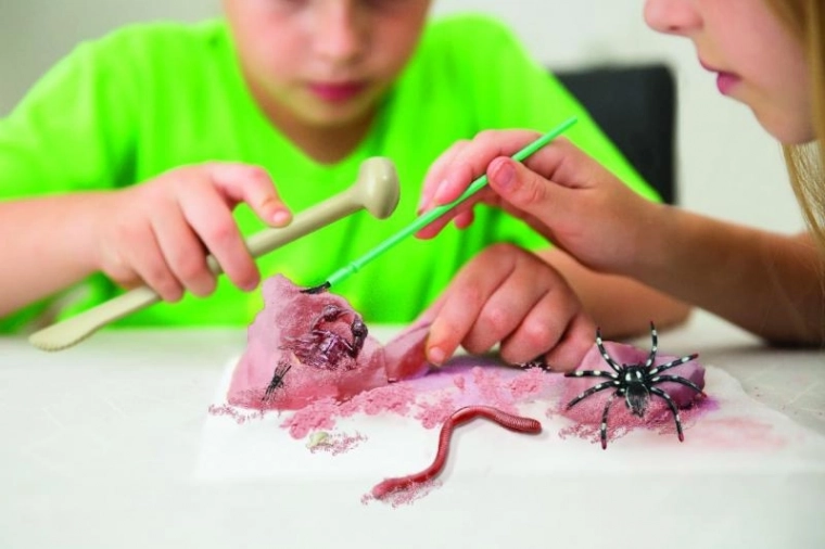 Iškask ir atrask paslėptus vabzdžius