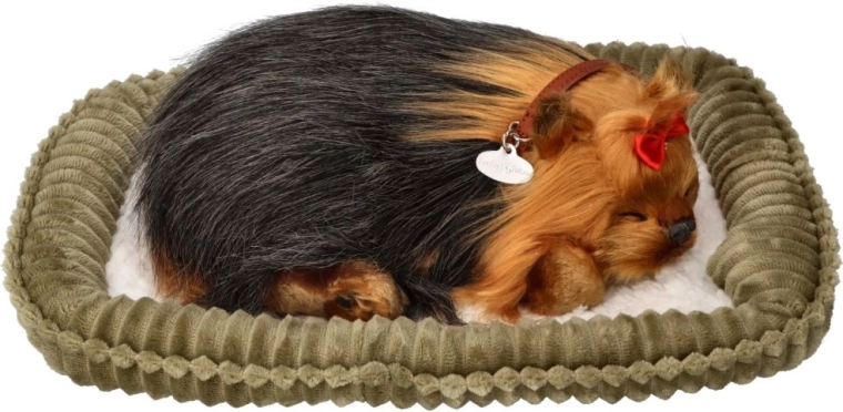 Minkštas guolis ir kruopštus apdirbimas