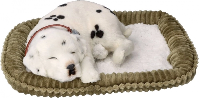 Realistiškas kvėpavimas ir ramus miegas