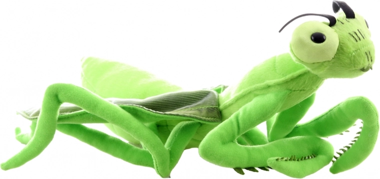 Realistiškas dizainas