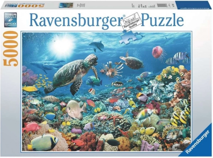 Challenging design for puzzle enthusiasts