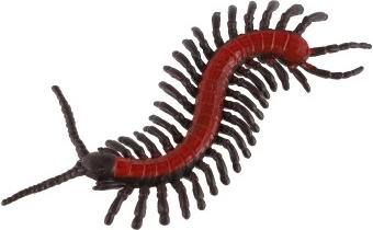 8 skirtingos rūšys patogiame maišelyje