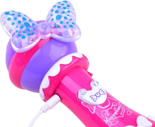 Įrašymas ir atkūrimas