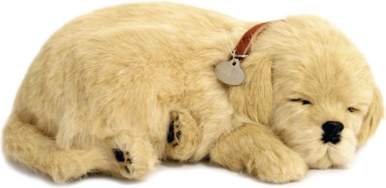 Realistiškas kvėpavimas ir ramus miegas