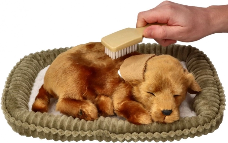 Interaktyvi priežiūra be rūpesčių