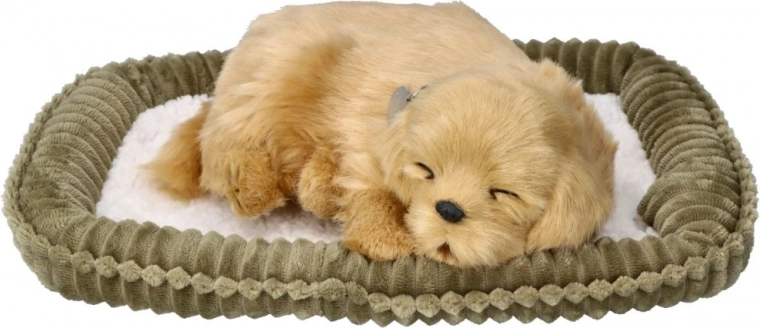 Minkštas guolis komplekte