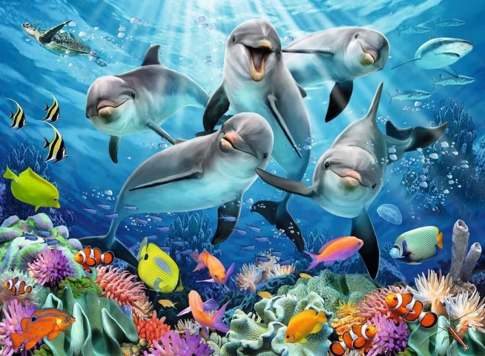 Įspūdingas delfinų ir koralinio rifo motyvas