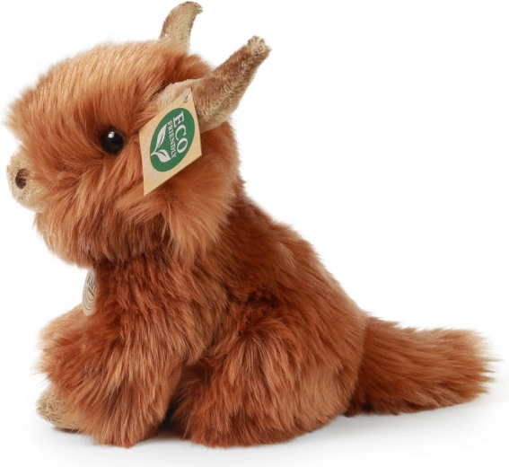 Autentiška škotiško kalnų galvijo išvaizda