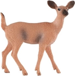Detalus realistinis dizainas
