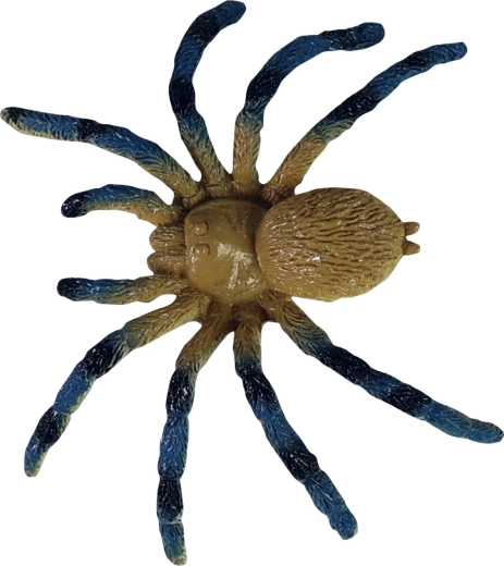 Edukacinis panaudojimas