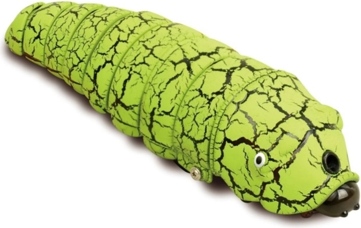 Daug spalvinių variantų