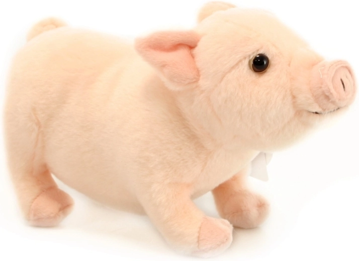 Realistiškos detalės dar daugiau pramogų