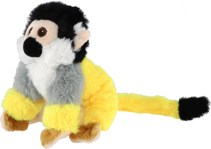 Saugus nuo gimimo (0m+)